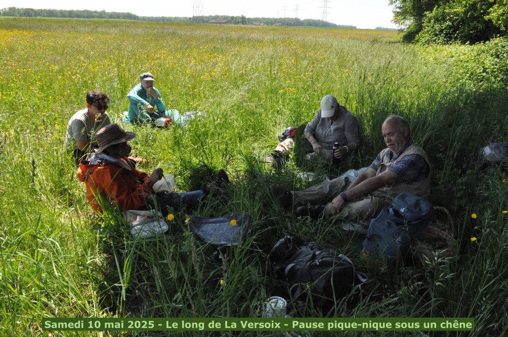 Mycolacote - La Versoix - 10 mai 2025 (1)