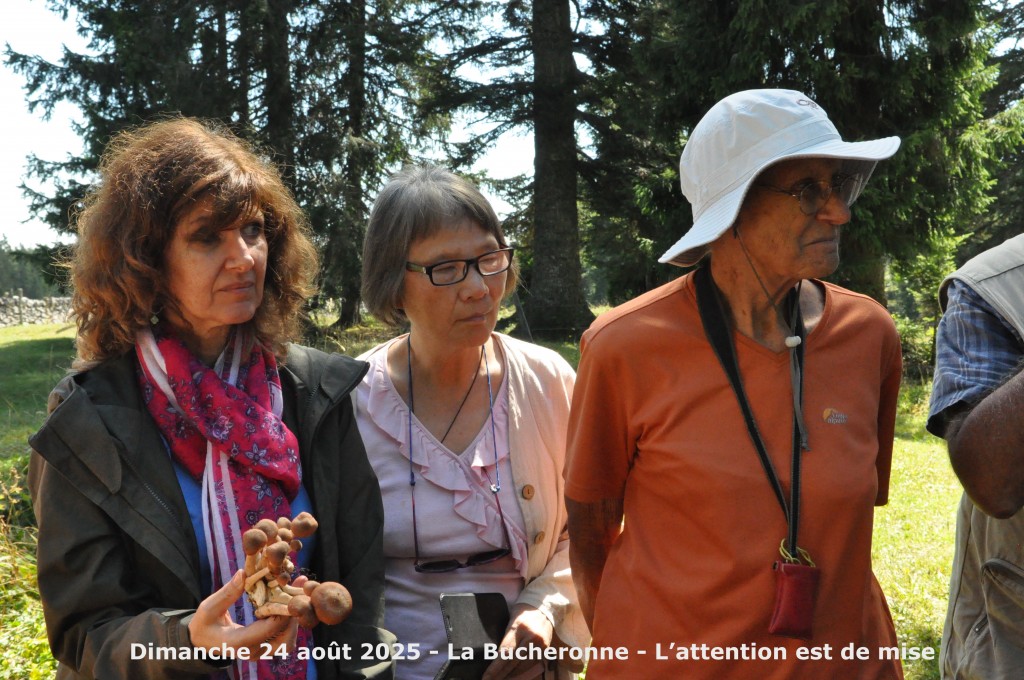 Sortie La Bucheronne du 24.8 (13)