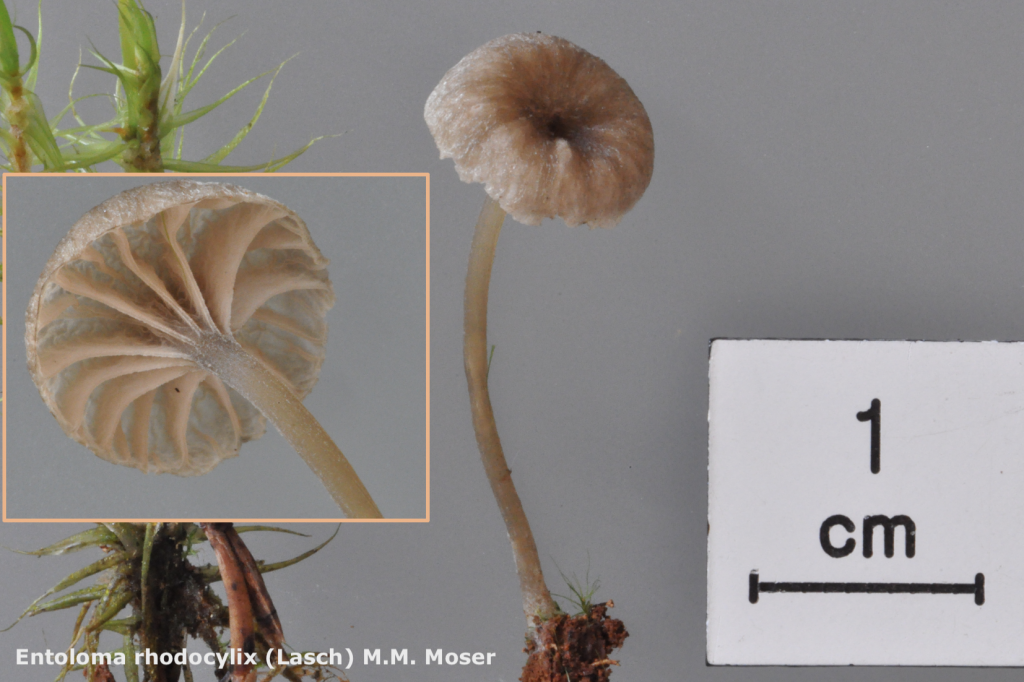 Capture d’écran 2025-09-14 à 15.11.04